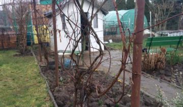 Działka rod Gorzów Wielkopolski, ul. Śląska