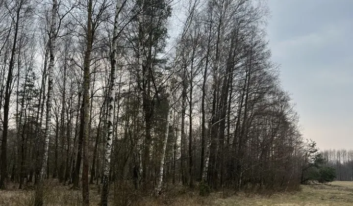 Działka rolna Dębienica