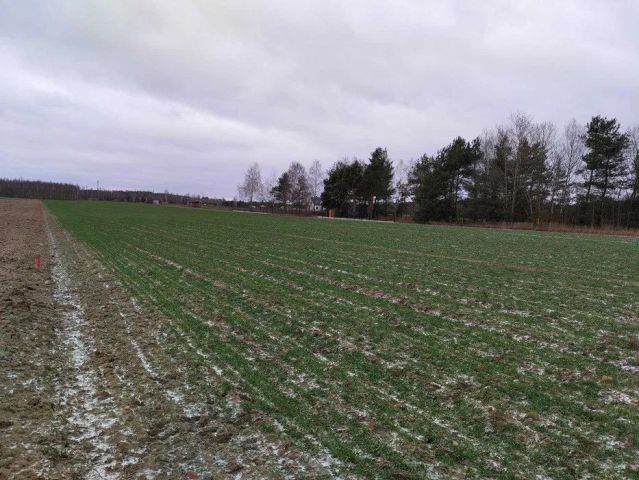 Działka budowlana Gołąbek, ul. Leśna. Zdjęcie 1