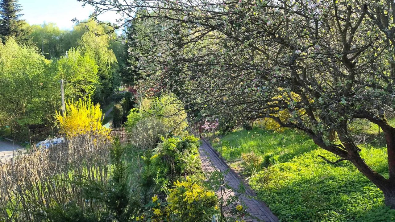 Działka rod Zabierzów. Zdjęcie 4