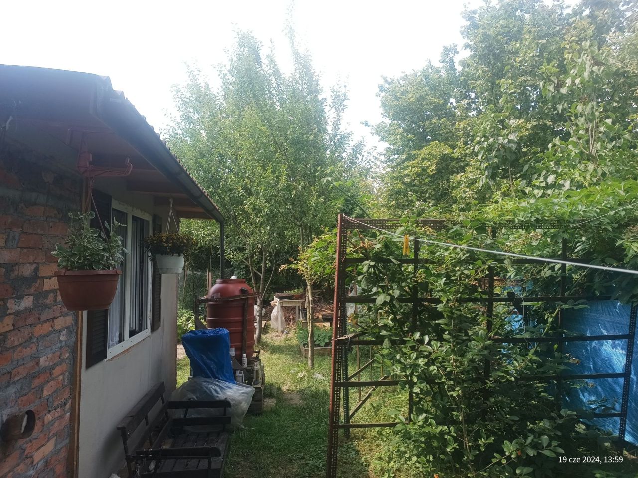 Działka rod Gliwice Stare Gliwice. Zdjęcie 7