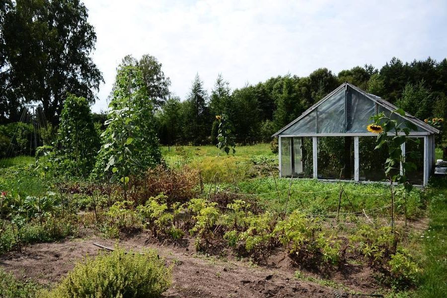 dom wolnostojący Nobliny. Zdjęcie 4