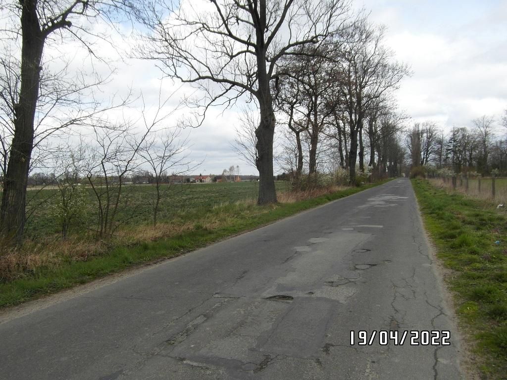 Działka rolno-budowlana Niedrzew Drugi. Zdjęcie 12