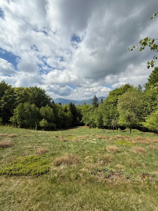 Działka rolna Wilkowice Magurka. Zdjęcie 6