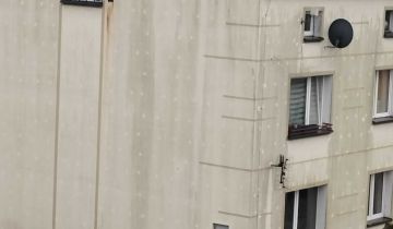 Mieszkanie 3-pokojowe Wronie