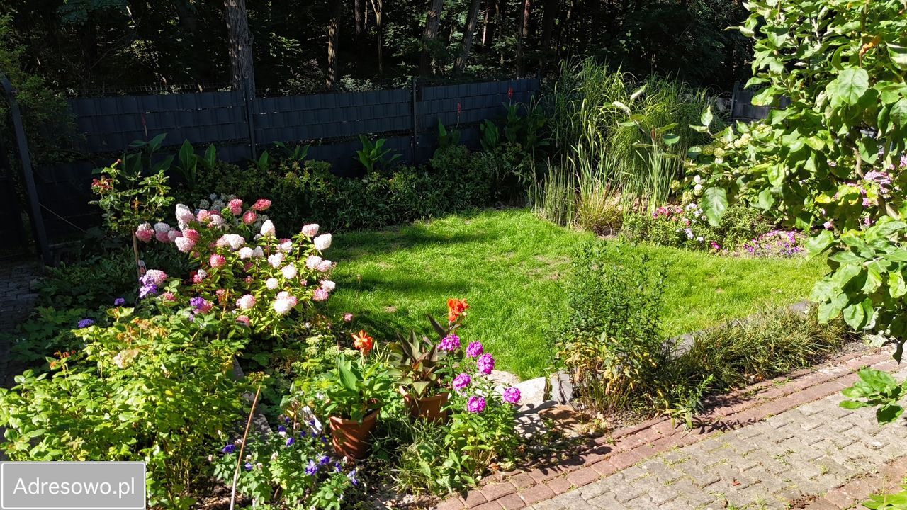 dom wolnostojący, 5 pokoi Zielona Góra Centrum, ul. Gajowa. Zdjęcie 4