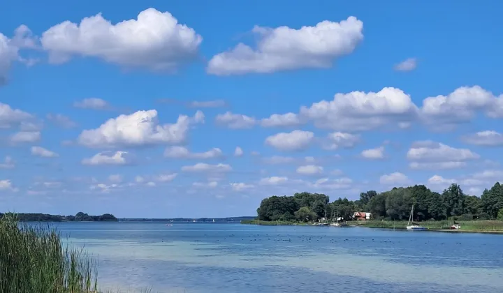 Działka siedliskowa Kochowo