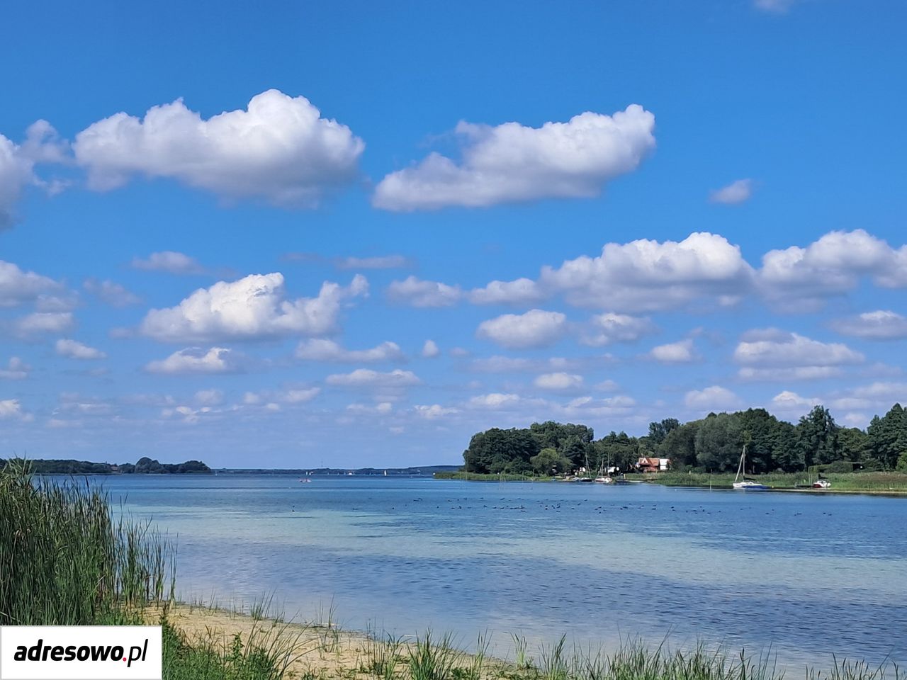 Działka siedliskowa Kochowo. Zdjęcie 1