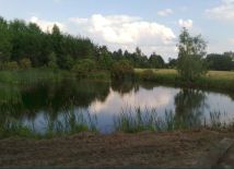 Hotel/pensjonat Zawidz Kościelny, ul. Warszawska. Zdjęcie 1