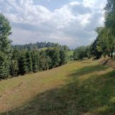 Działka rolno-budowlana Łopuszna. Zdjęcie 2