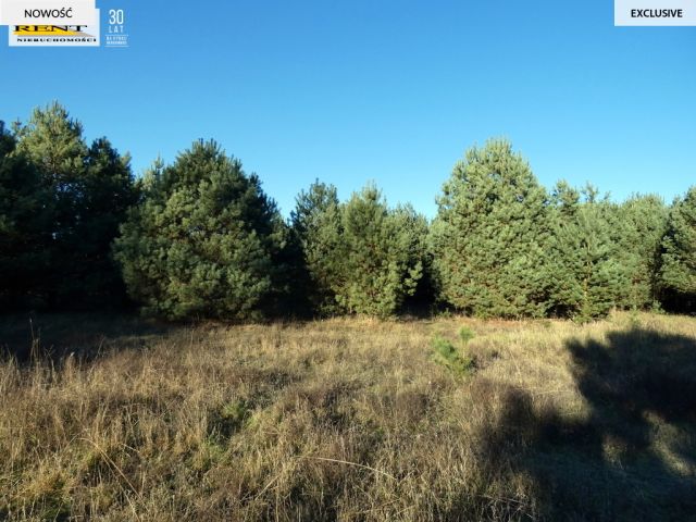 Działka rekreacyjna Krzywnica. Zdjęcie 11