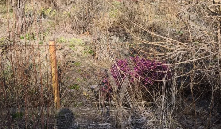 Działka rod Warszawa Mokotów, ul. Nadrzeczna