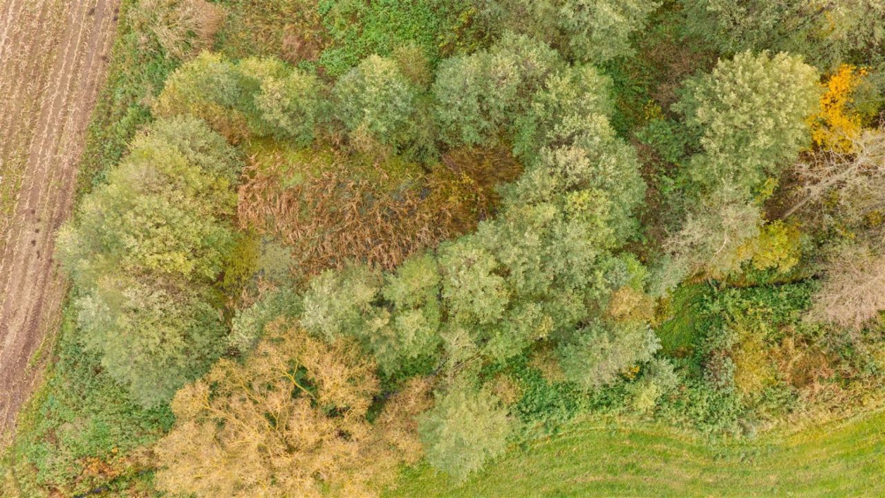 siedlisko, 2 pokoje Rolki. Zdjęcie 5