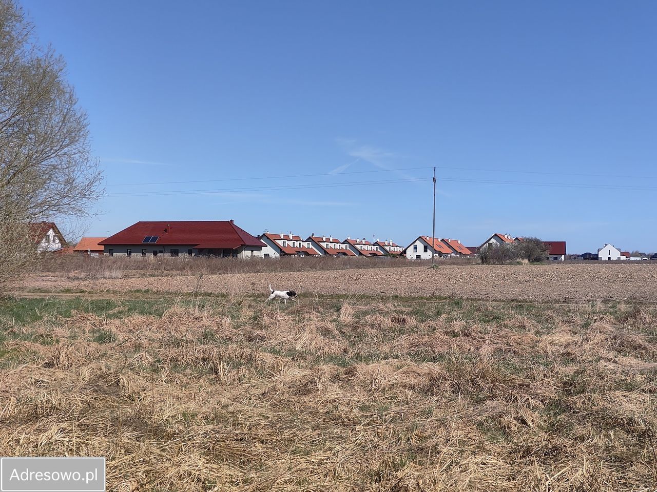 Działka budowlana Dobroszyce. Zdjęcie 1
