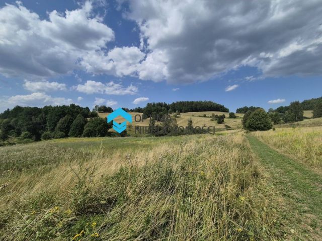 Działka budowlana Sosnówka. Zdjęcie 11