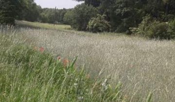 Działka budowlana Grudziądz Mniszek, ul. Wojciecha Kossaka