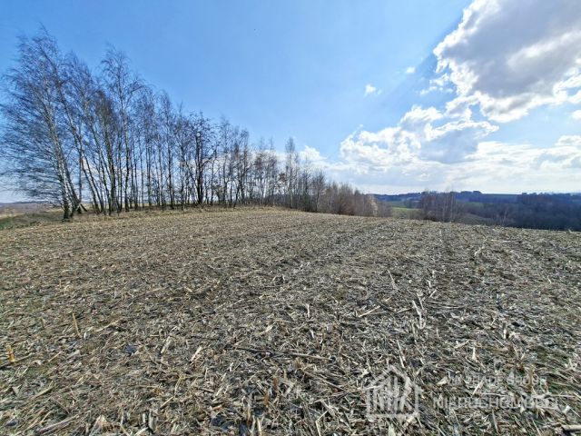 Działka Bodzanów. Zdjęcie 9