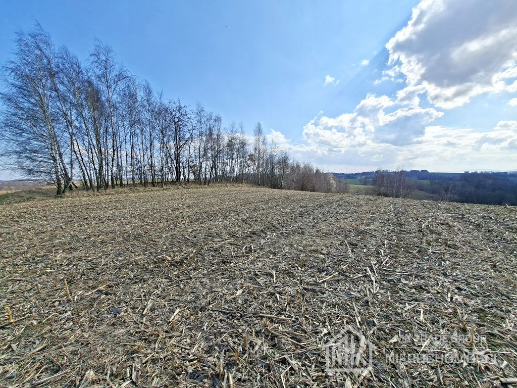 Działka Bodzanów. Zdjęcie 9