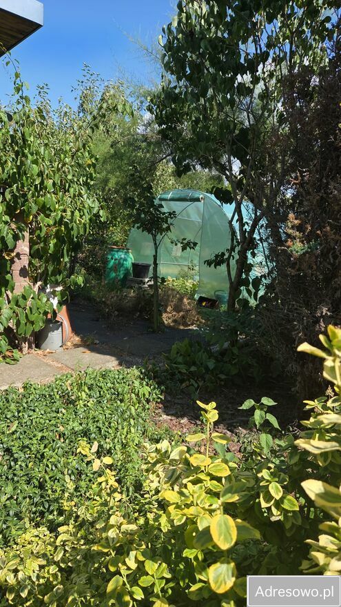 Działka rod Kędzierzyn-Koźle Kuźniczka, ul. Grunwaldzka. Zdjęcie 3