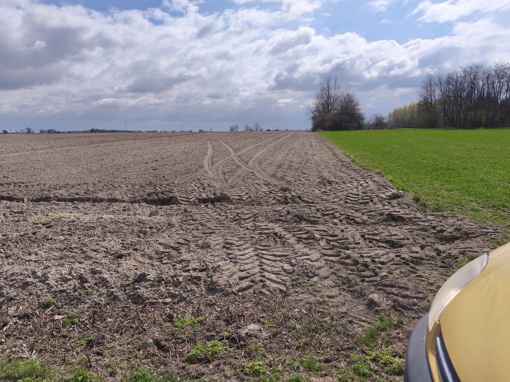 Działka rolno-budowlana Niwki. Zdjęcie 6