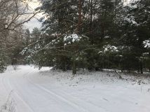 Działka budowlana Zgrzebichy. Zdjęcie 2