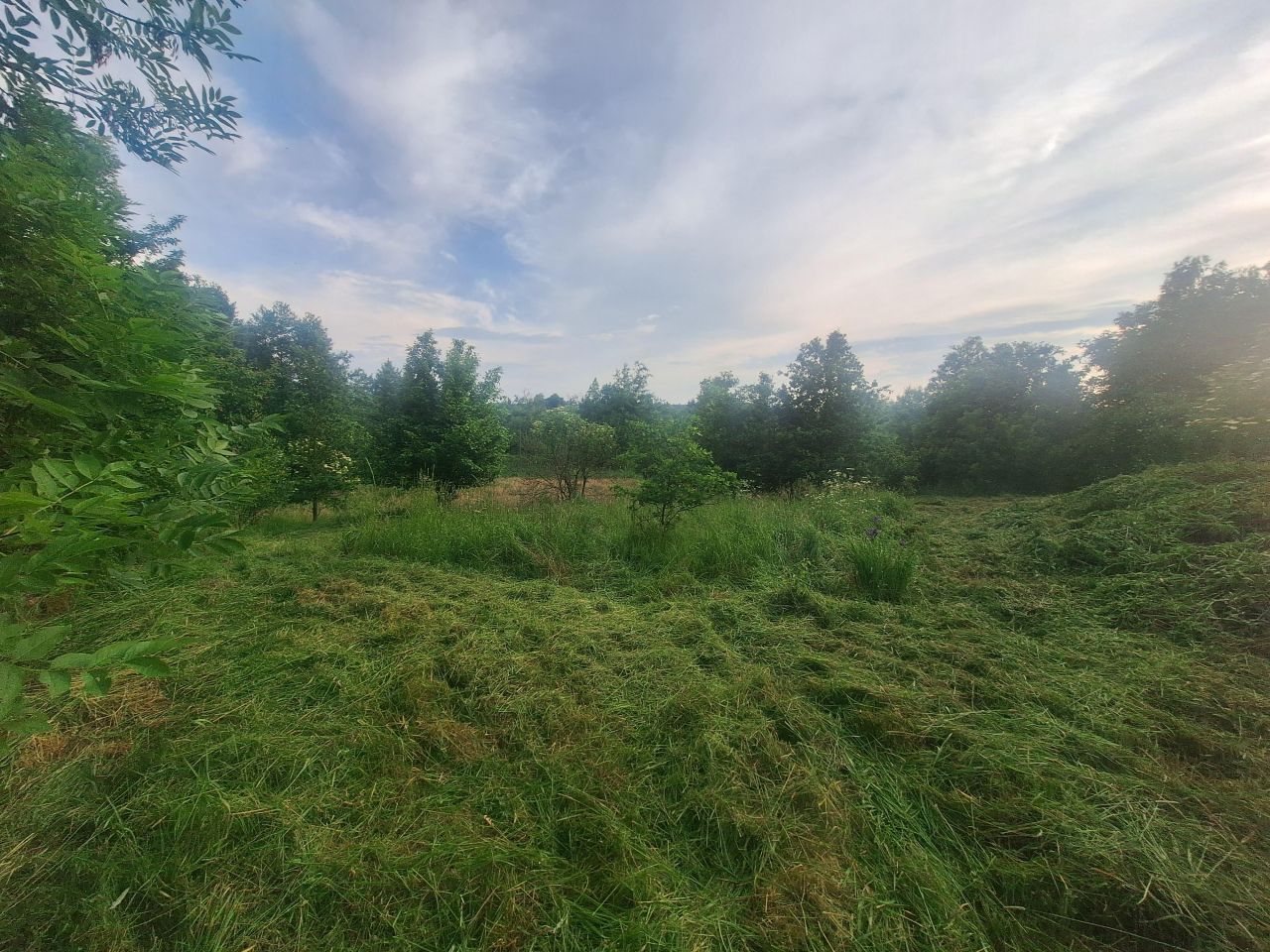 Działka siedliskowa Radostów Górny. Zdjęcie 2