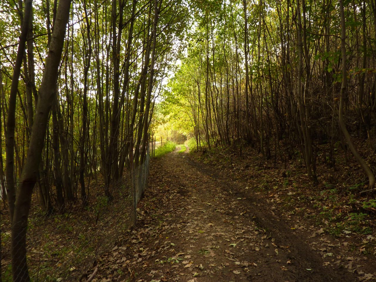 Działka rolna Pewel Wielka Garleje. Zdjęcie 26