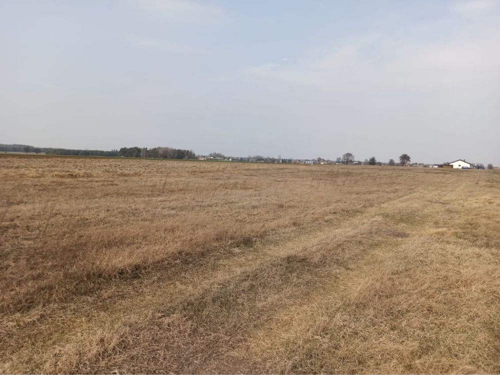 Działka rolna Słupica. Zdjęcie 4