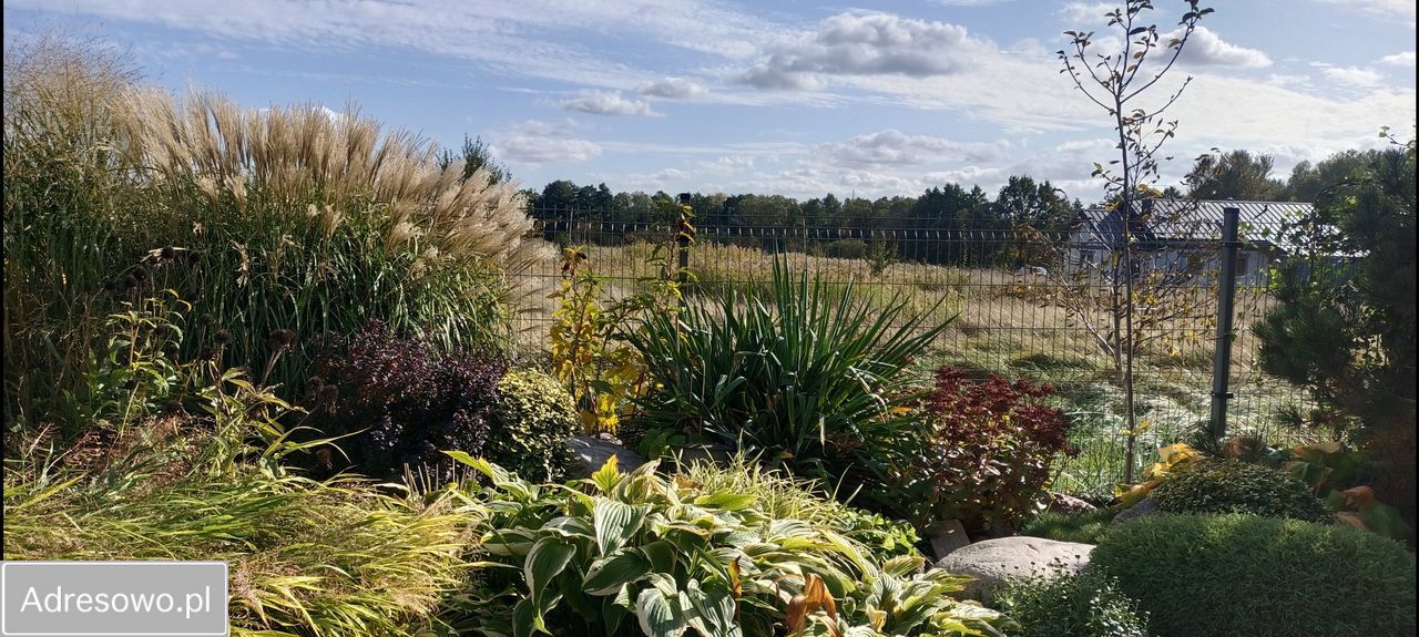 Mieszkanie 2-pokojowe Toruń Grębocin nad Strugą, ul. Działowa. Zdjęcie 5