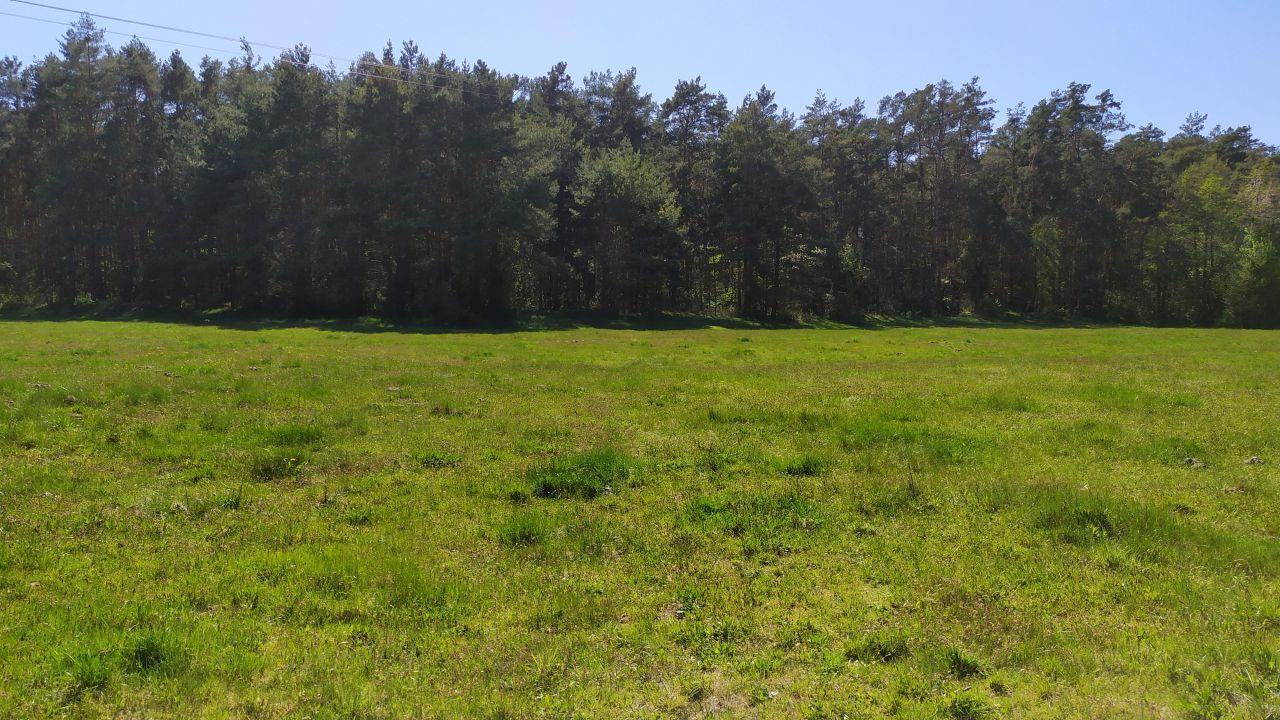 Działka rolna Bocheniec. Zdjęcie 4