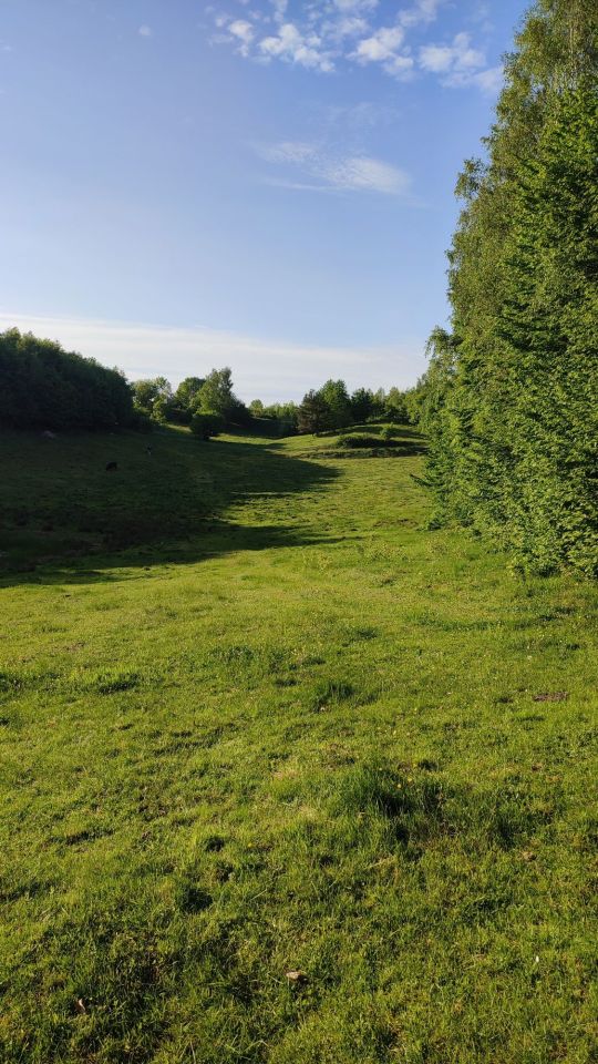 Działka rolna Stara Huta. Zdjęcie 2