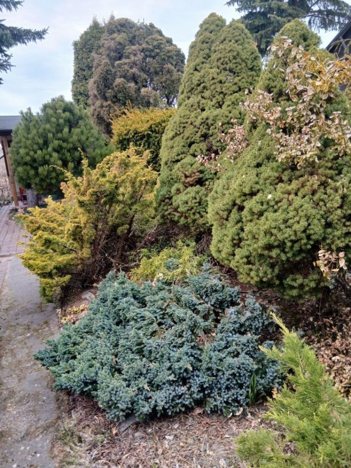 Działka rod Wadąg. Zdjęcie 3