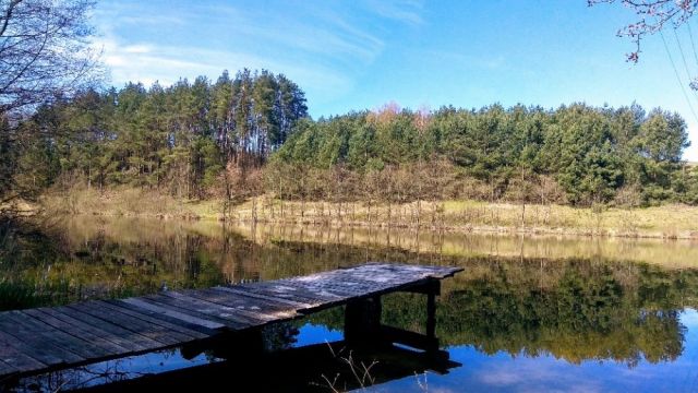 Działka rekreacyjna Skorzewo. Zdjęcie 1