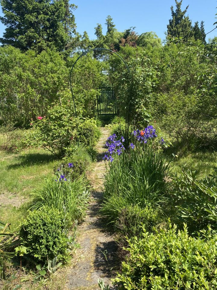 Działka rod Gdynia Mały Kack, ul. Grodnieńska. Zdjęcie 39