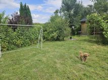 Działka rod Wieluń. Zdjęcie 2