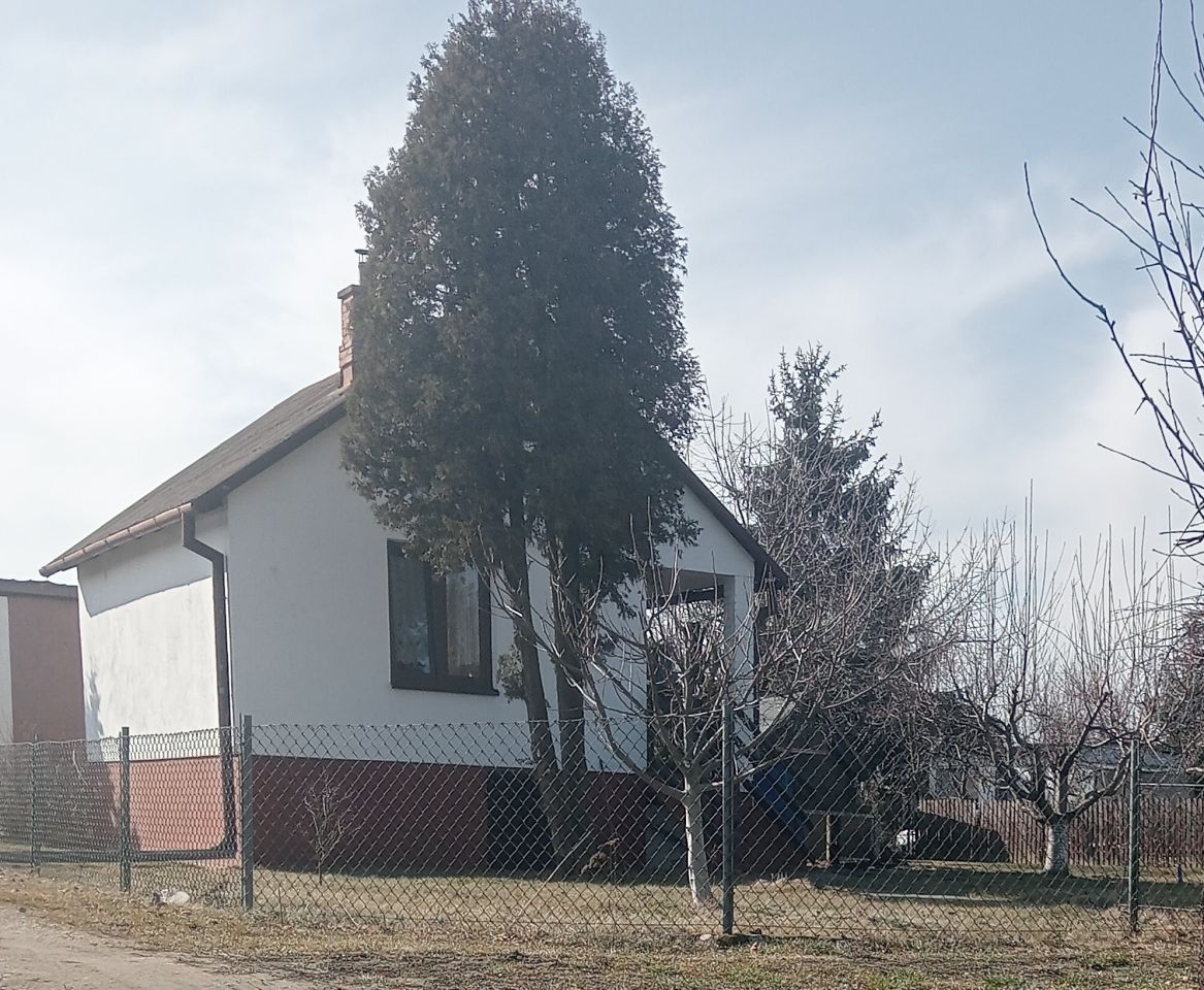 Działka rod Mszczonów, ul. Działkowa. Zdjęcie 1