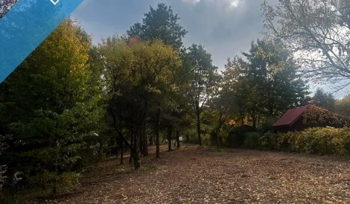 Działka rekreacyjna Radachówka