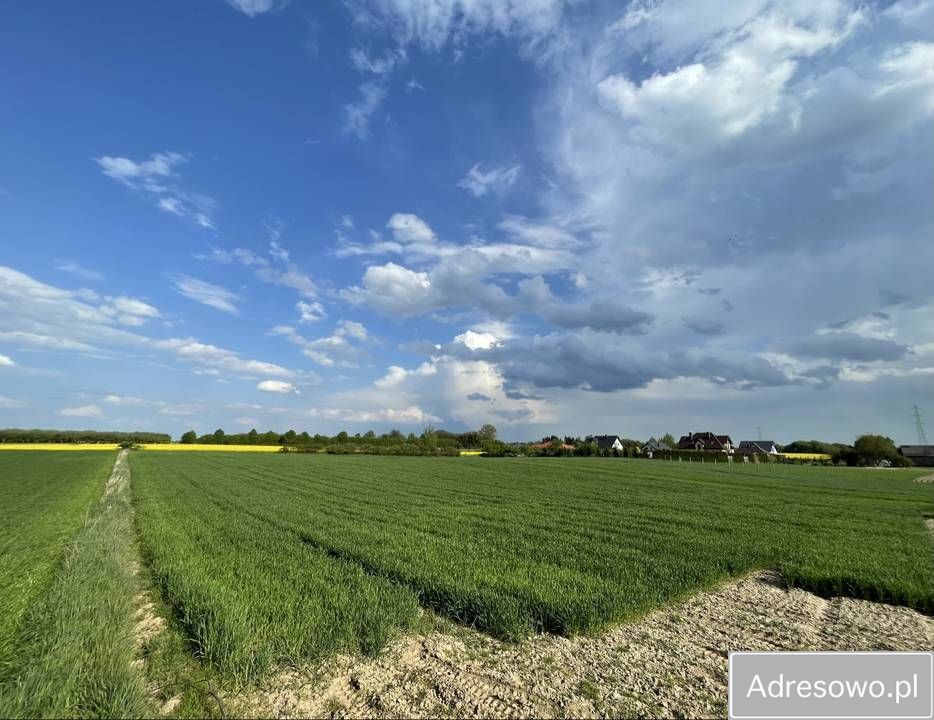 Działka budowlana Stara Wieś. Zdjęcie 3