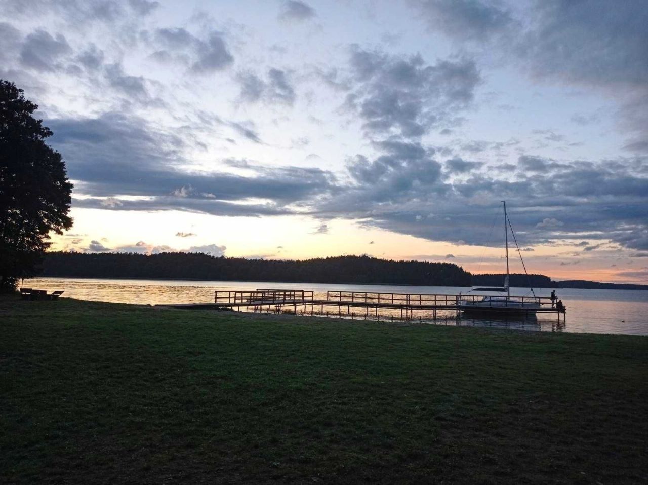 Działka leśna Borsk. Zdjęcie 4