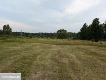 Działka siedliskowa Wólka Rejowiecka. Zdjęcie 1