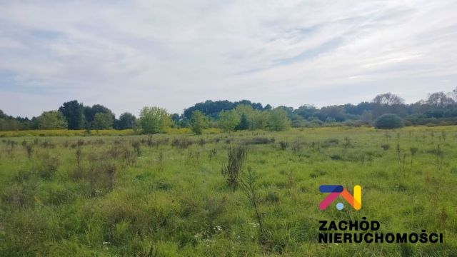 Działka rolno-budowlana Zabór, ul. Lipowa. Zdjęcie 2