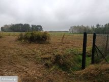 Działka budowlana Borzechów-Kolonia. Zdjęcie 1