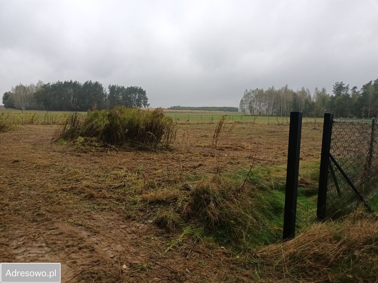 Działka budowlana Borzechów-Kolonia. Zdjęcie 2