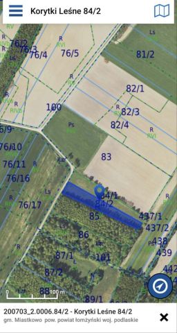 Działka rekreacyjna Korytki Leśne. Zdjęcie 1