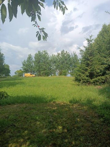 Działka rolno-budowlana Przyrowa. Zdjęcie 12
