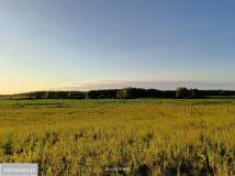 Działka budowlana Kamionki. Zdjęcie 2