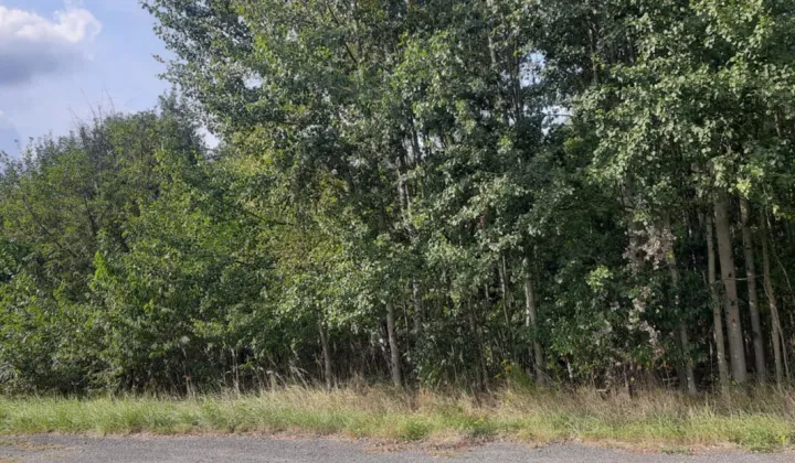 Działka rolno-budowlana Kolonia Klepaczka