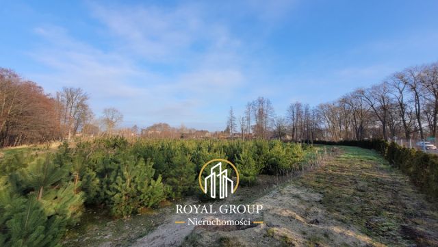 Działka siedliskowa Samoklęski. Zdjęcie 7