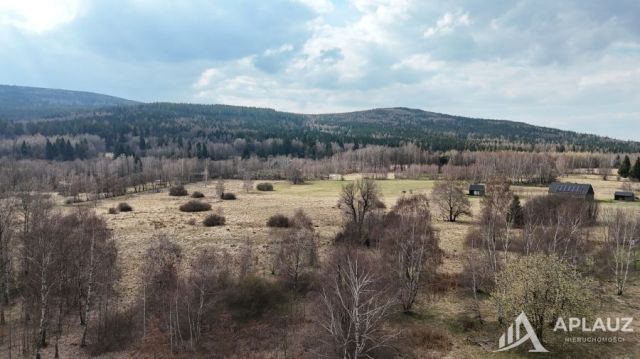 Działka rolna Antoniów. Zdjęcie 3