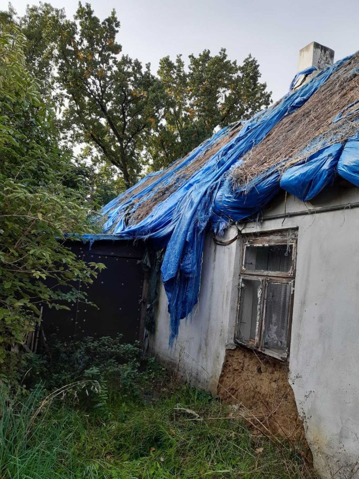 Działka Kotwasice. Zdjęcie 3